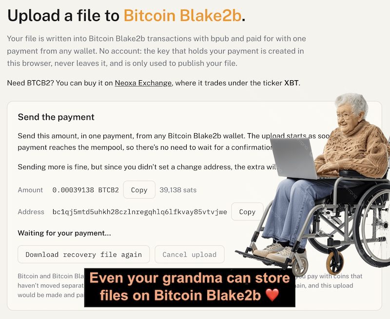 even-grandma-can-use-bitcoin-blake2b-file-storage.jpg